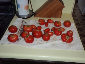 Tomatoes